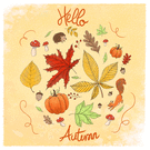 Automne coloré avec écureuil et citrouilles